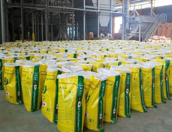 Cabinet approves Rs 41,534 Crore Nutrient Based Subsidy for Kharif 2026, Rs 4,317 Crore More Than 2025