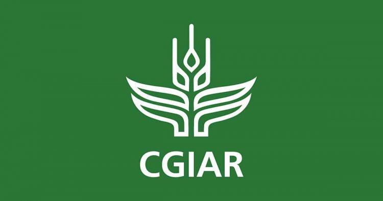 Merger of CGIAR Research Centres into “One CGIAR” poses great risks for food security and sovereignty: UN Special Rapporteur Michael Fakhri