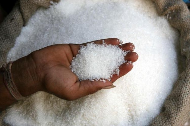 Sugar output estimated to fall by 41 LT in the current season