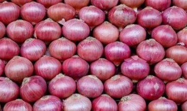 Kharif onion output may be 13% less, ample Rabi onions to contain prices: Crisil
