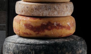 PBFIA to represent Indian plant-based foods industry at Speciality Food Festival in Dubai