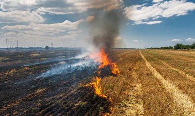 Punjab to provide 24,000 crop residue management machines, Delhi minister seeks joint meeting of NCR states