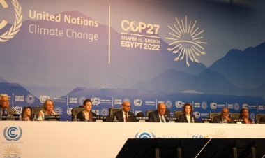 COP27: Agriculture sector both a victim of and contributor to climate change