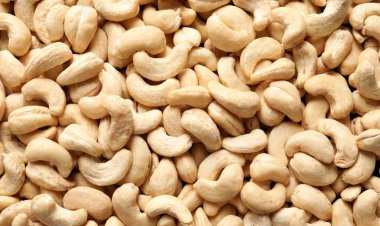 Cashew processing industry to see 15 pc revenue growth