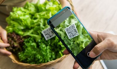 India’s agrifood start-ups close record-breaking $4.6bn in funding in FY22