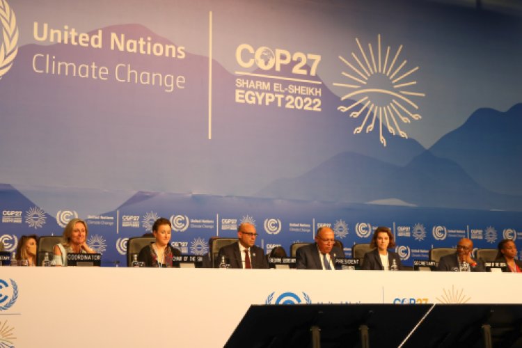 COP27: Agriculture sector both a victim of and contributor to climate ...
