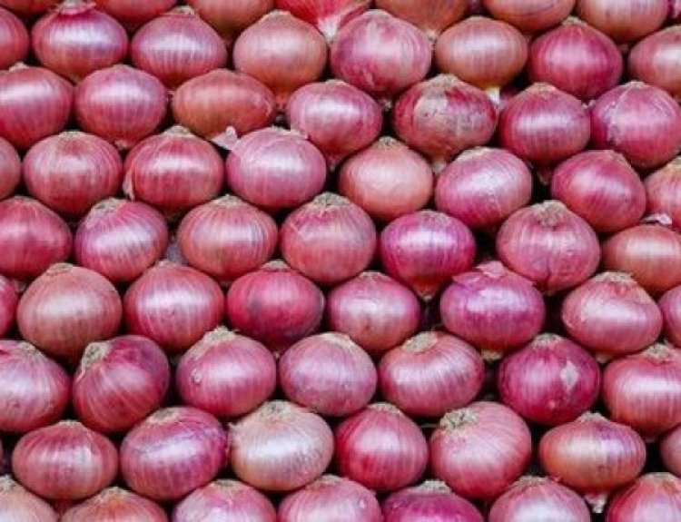 Kharif onion output may be 13% less, ample Rabi onions to contain prices: Crisil