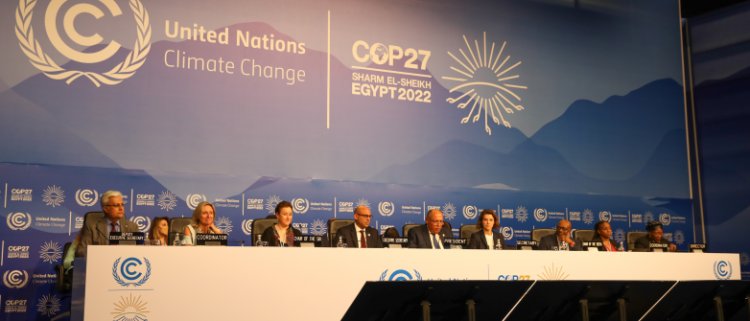 COP27: Agriculture sector both a victim of and contributor to climate change