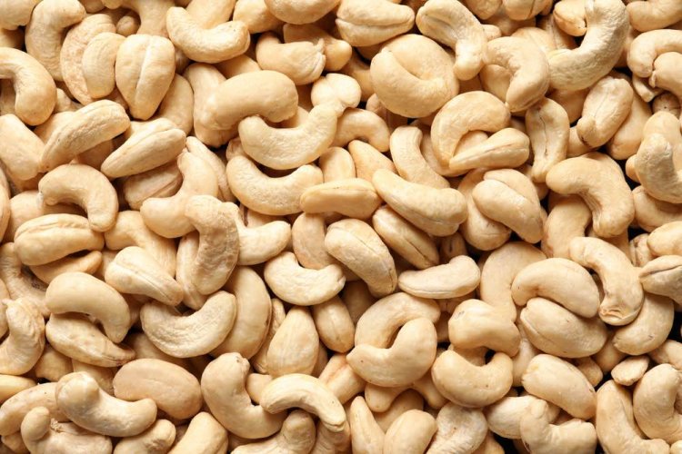 Cashew processing industry to see 15 pc revenue growth