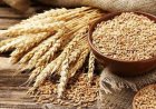 FAO Sees Global Food Markets Well Supplied in 2026 Despite El Niño, Geopolitical Risks and Rising Price Pressures