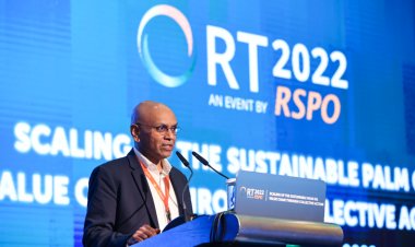RSPO certification grows from three countries in 2008 to 21 in 2021, representing 4.5mn ha of sustainable oil palm plantations