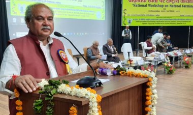 Natural farming costs less, yields more: Narendra Tomar
