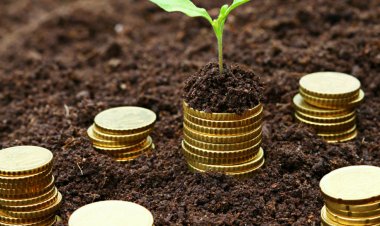 Origo eMandi and Vivriti Capital join hands to provide finance to FPOs, farmers