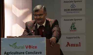 MSP can guarantee stable prices but not always the best: NITI Aayog member Prof. Ramesh Chand