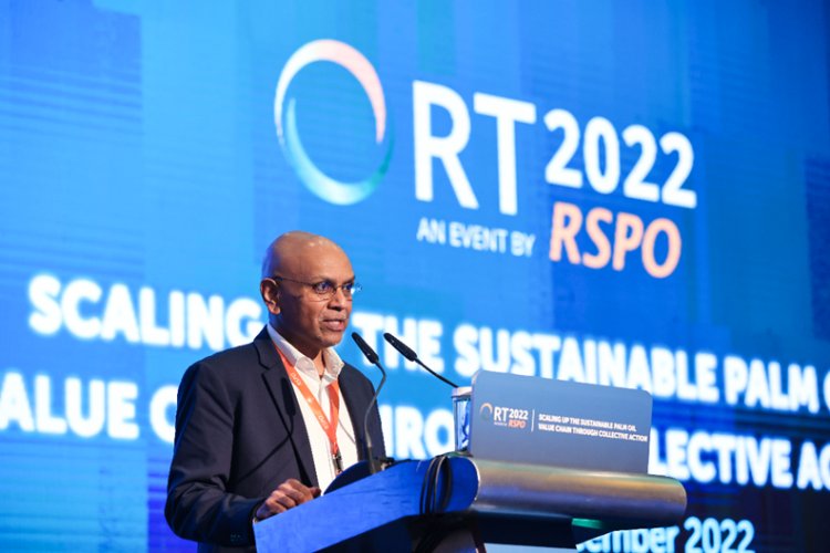 RSPO certification grows from three countries in 2008 to 21 in 2021, representing 4.5mn ha of sustainable oil palm plantations