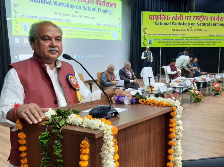Natural farming costs less, yields more: Narendra Tomar