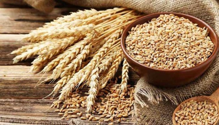 FCI to offer 11.72 lakh tones wheat stock to bulk consumers in 3rd e-auction