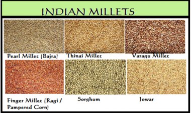 International Year of Millets kicks in