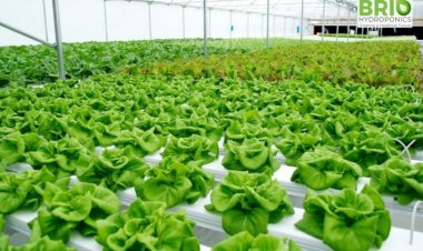 Agriculture is turning into a formal sector