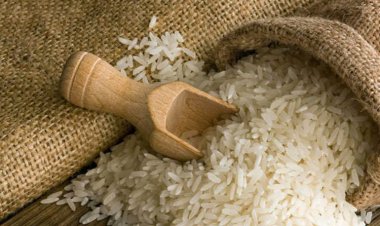 Food subsidy critical for achieving SDGs