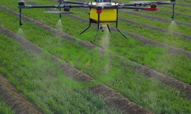 ACFI urges Fin Min to reduce import duty and GST on crop protection chemicals