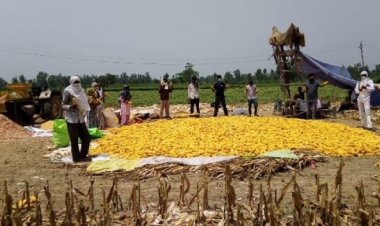 Budget 2023-24: Tax holiday be extended, MAT be abolished for FPOs