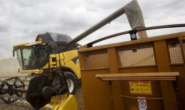 Of Rs 7.50 lakh crore capex, share of agriculture below Rs 140 crore; sector crying for investment in Budget