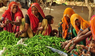 Walmart Foundation to invest over $3.5mn to strengthen FPOs in MP, West Bengal