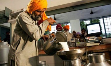 Milk procurement by dairy companies down despite higher price to farmers,  Ghee and butter in short supply