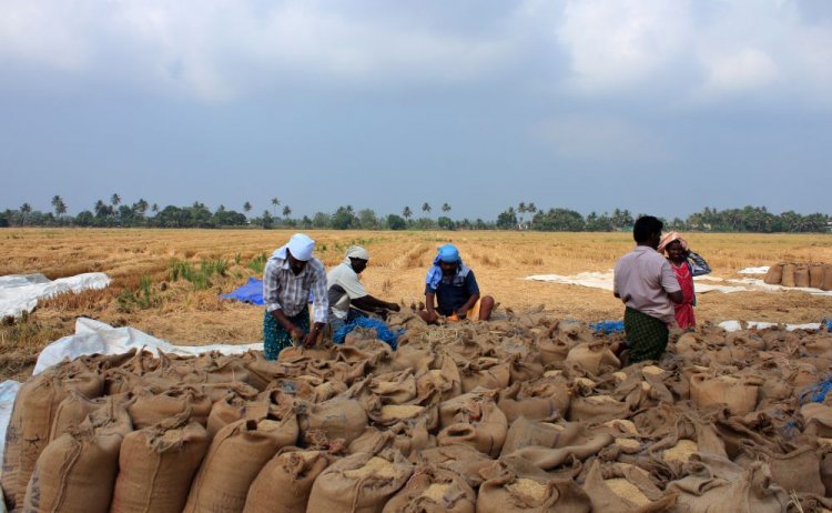 Budget 2023-24: Abolish GST on agri produce bought from FPOs; focus on commercialization of biotech start-ups