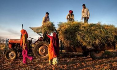 No hike in Budget outlays for agriculture in 2 years; reduction in real terms; Irrigation given a bad miss