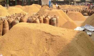 NBHC creates DPCs in Bihar, Rajasthan, MP; introduces “Kisan Saathi”