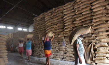 FCI stops wheat auction under OMSS for now as procurement of fresh crop begins next month