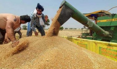 Export ban on wheat to continue: FCI CMD