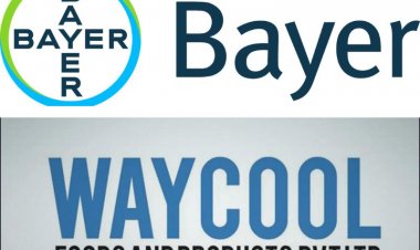 Bayer partners with WayCool to deliver optimal solutions to smallholder farmers