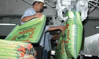 In global market, urea price falls to $ 400, price of DAP drops to $ 640