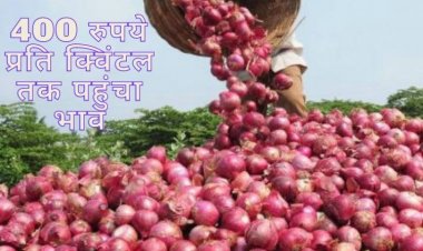 Onion: Problem of plenty in Maharashtra, Nafed comes to rescue of growers