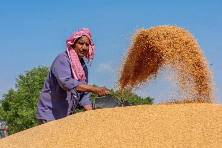 Foodgrain output seen at record 323.55 million tonnes in 2022-23 crop ...