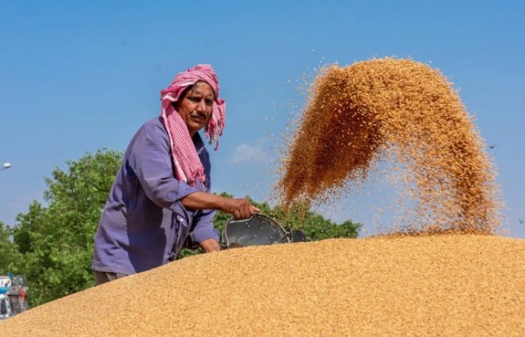Foodgrain output seen at record 323.55 million tonnes in 2022-23 crop year; wheat output at 112 mn tonnes