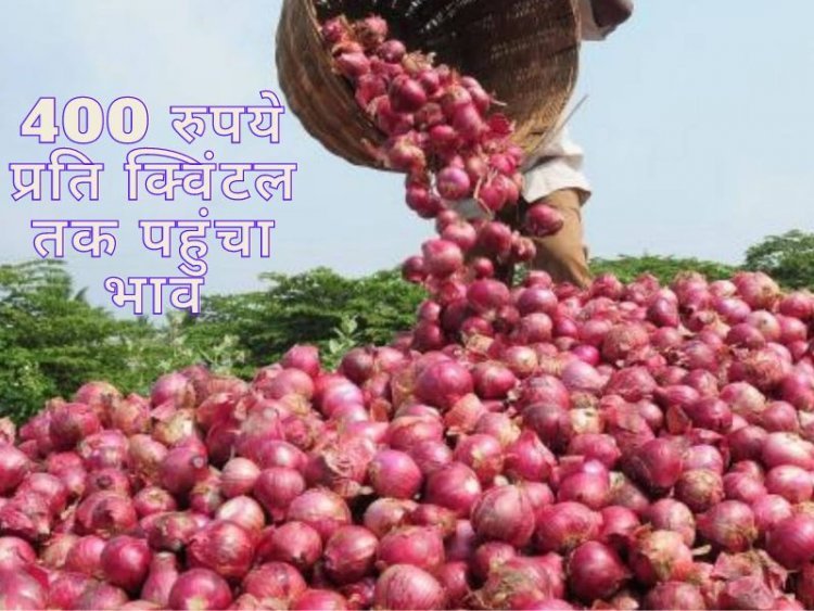 Onion: Problem of plenty in Maharashtra, Nafed comes to rescue of growers