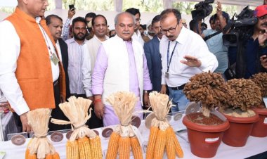 Tomar urges small farmers to grow more millets to help address malnutrition