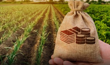 Agri-focused NBFCs and Fintech’s plays critical role to augment credit requirement for agricultural innovation