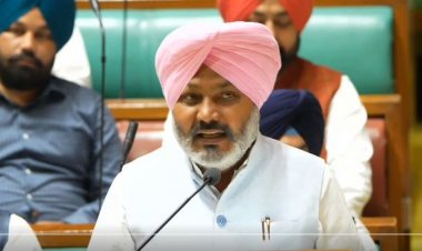 Agri bags lion's share in Rs 1.96 lakh cr. Punjab budget