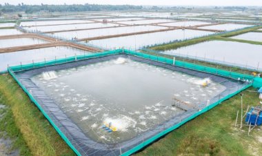 Dairy, fishery co-ops to be enlisted in rural banking outreach: Govt