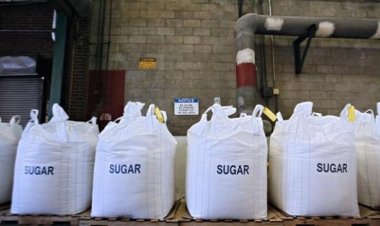 Net sugar output falls marginally at 280.79 LT so far in 2023-24 mkt yr: ISMA