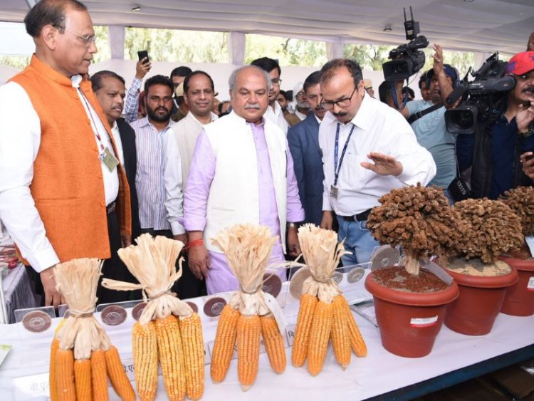 Tomar urges small farmers to grow more millets to help address malnutrition