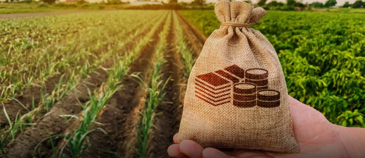 Agri-focused NBFCs and Fintech’s plays critical role to augment credit requirement for agricultural innovation