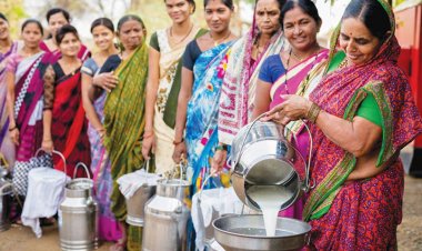 The Road to India’s Dairy Excellence Dreams