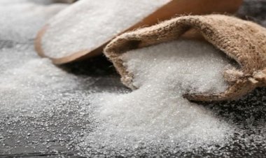 Sugar output falls 7.7pc to 112 lakh tons in Oct-Dec: NFCSF