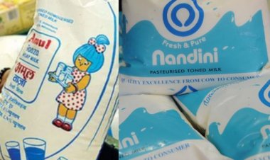 Amul’s entry in Bengaluru creates political ripples in poll-bound Karnataka